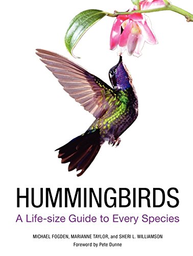 Book Cover Hummingbirds: A Life-size Guide to Every Species