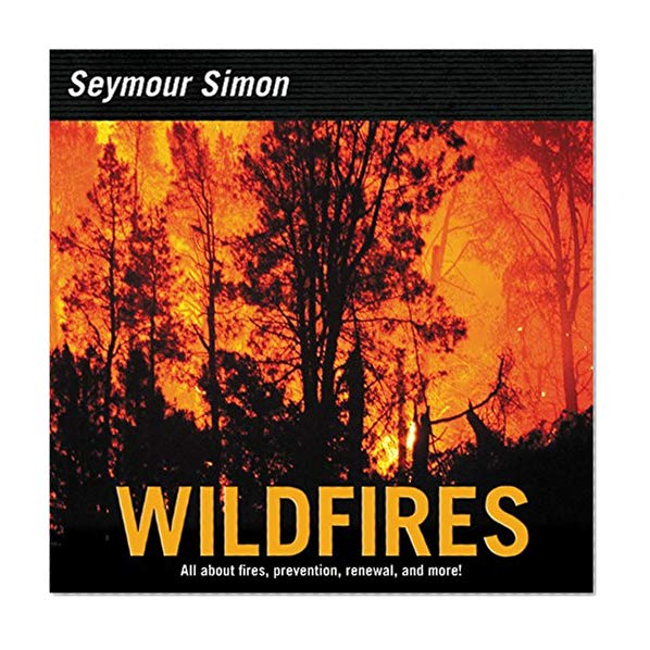 Book Cover Wildfires