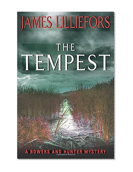 Book Cover The Tempest: A Bowers and Hunter Mystery (Bowers and Hunter Mysteries)