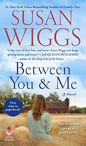 Book Cover Between You and Me: A Novel