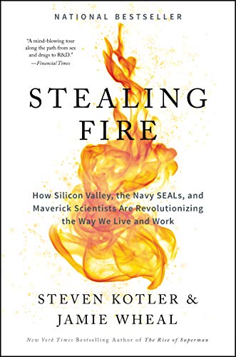 Book Cover Stealing Fire: How Silicon Valley, the Navy SEALs, and Maverick Scientists Are Revolutionizing the Way We Live and Work