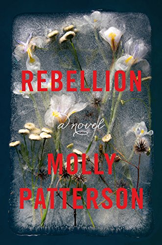 Book Cover Rebellion: A Novel