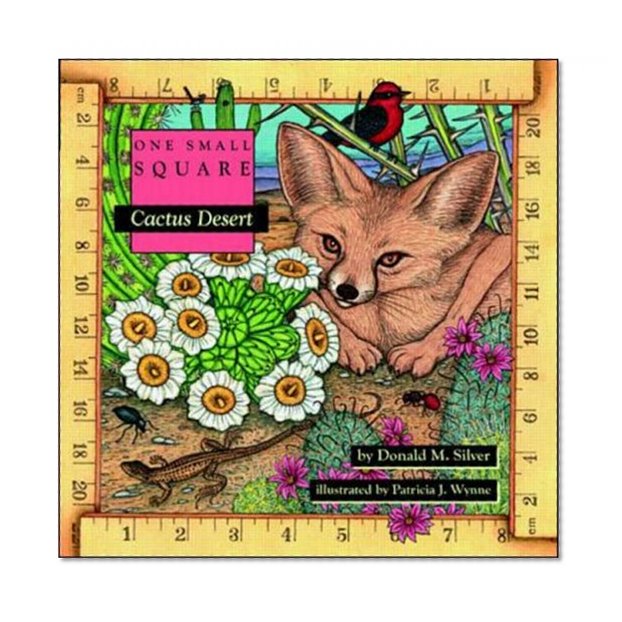 Book Cover Cactus Desert (One Small Square)