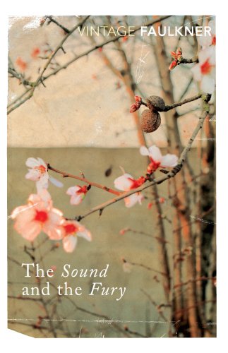 Book Cover Sound and the Fury