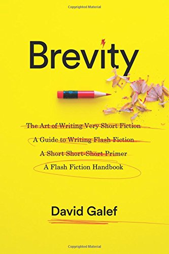 Book Cover Brevity: A Flash Fiction Handbook