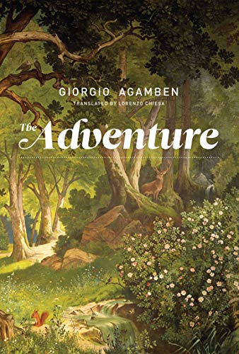 Book Cover The Adventure (The MIT Press)