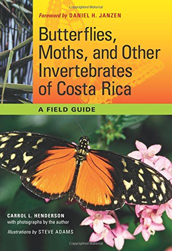 Book Cover Butterflies, Moths, and Other Invertebrates of Costa Rica: A Field Guide (The Corrie Herring Hooks Series)