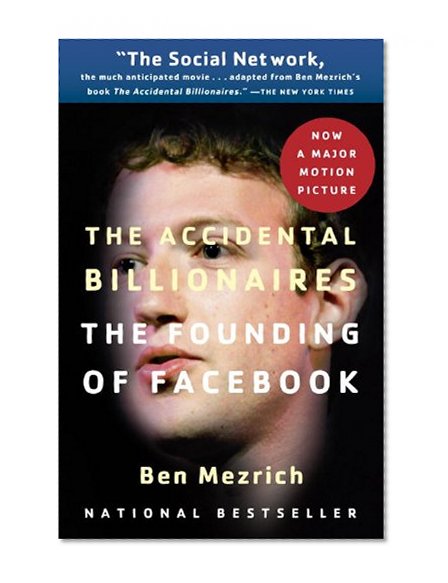 the accidental billionaires book