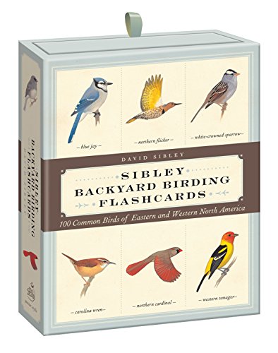 Book Cover Sibley Backyard Birding Flashcards: 100 Common Birds of Eastern and Western North America (Sibley Birds)