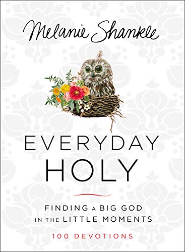 Book Cover Everyday Holy: Finding a Big God in the Little Moments