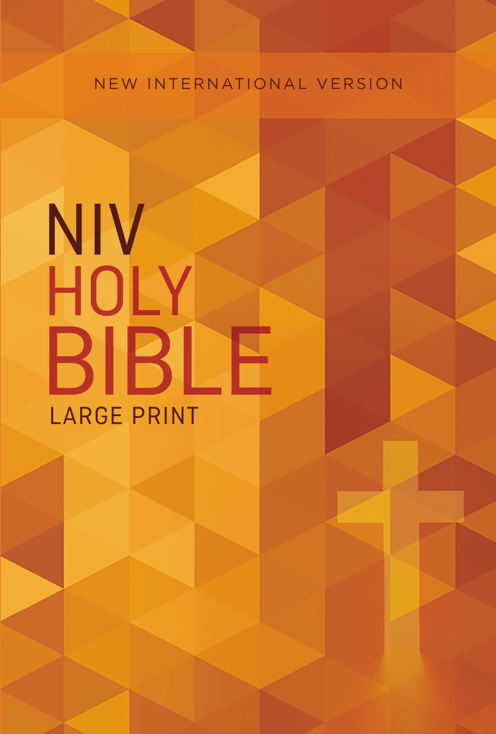 Book Cover NIV, Outreach Bible, Large Print, Paperback