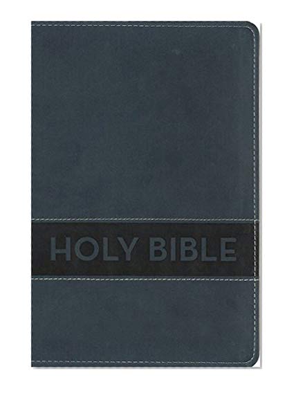 Book Cover NIrV, Gift Bible, Leathersoft, Blue