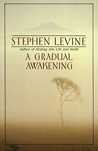 Book Cover A Gradual Awakening