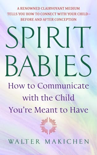 Book Cover Spirit Babies: How to Communicate with the Child You're Meant to Have