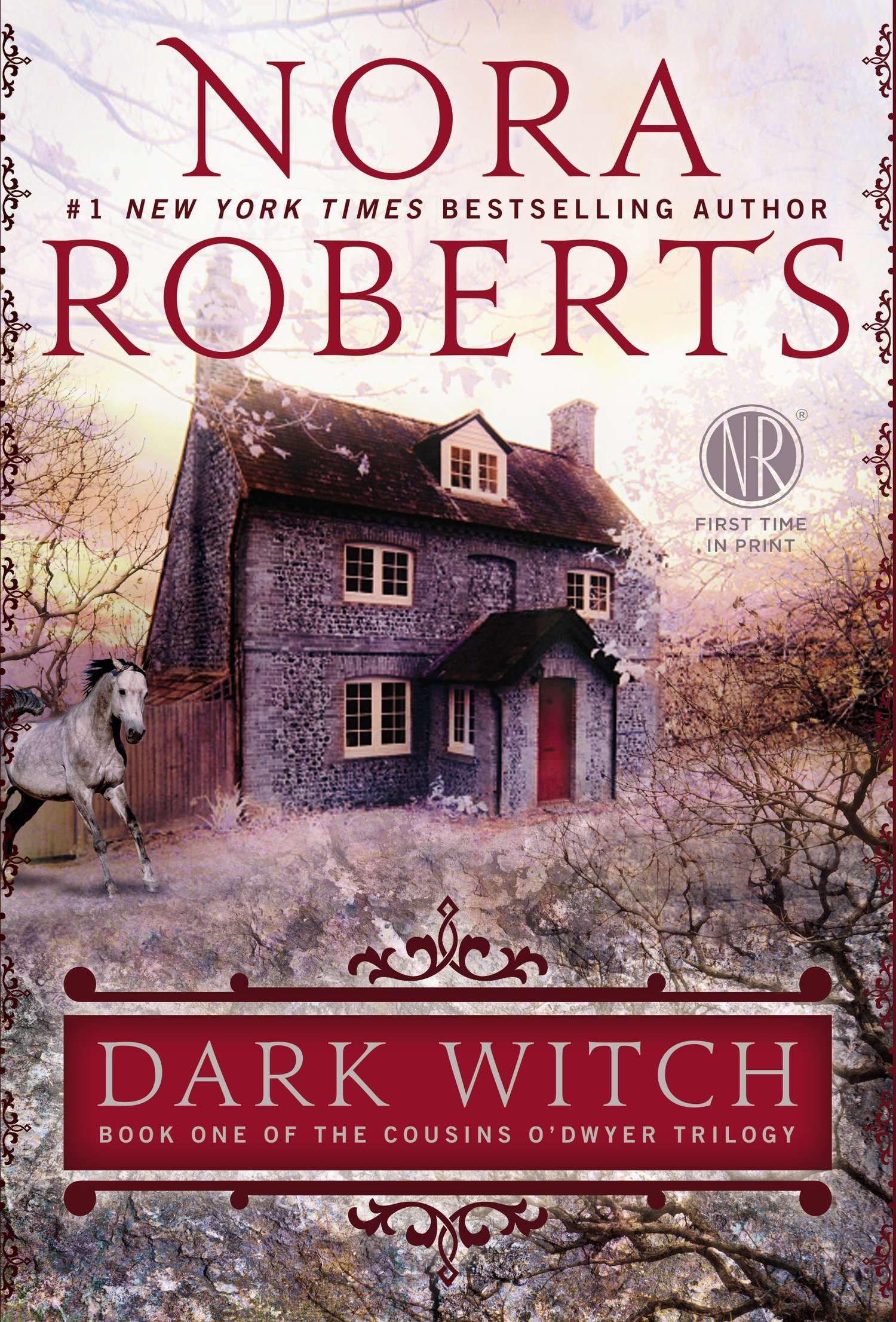 Book Cover Dark Witch (Cousins O'Dwyer)