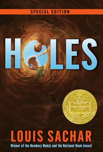 Book Cover Holes (Holes Series)