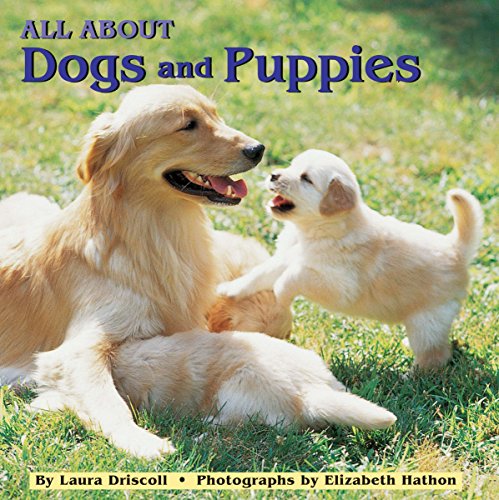 Book Cover All About Dogs and Puppies (Reading Railroad)