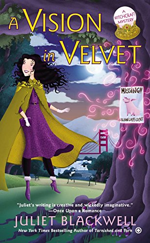 Book Cover A Vision in Velvet (Witchcraft Mystery)
