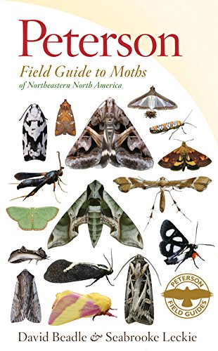 Book Cover Peterson Field Guide to Moths of Northeastern North America (Peterson Field Guides)