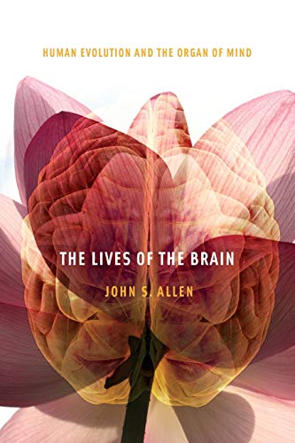 Book Cover The Lives of the Brain: Human Evolution and the Organ of Mind