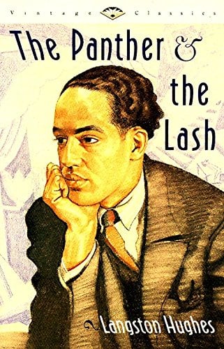 Book Cover The Panther & the Lash (Vintage Classics)