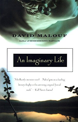 Book Cover An Imaginary Life