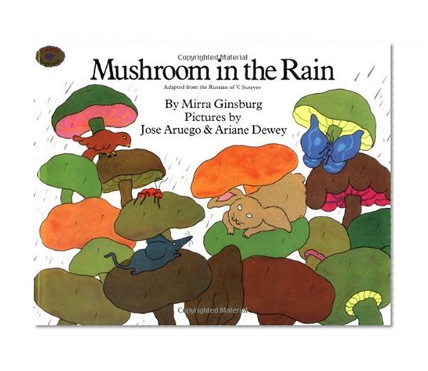Book Cover Mushroom in the Rain