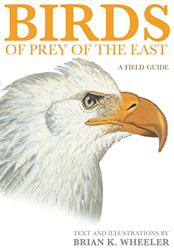 Book Cover Birds of Prey of the East: A Field Guide
