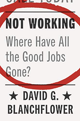 Book Cover Not Working: Where Have All the Good Jobs Gone?