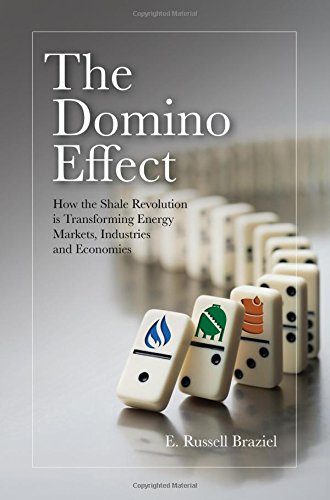 Book Cover The Domino Effect