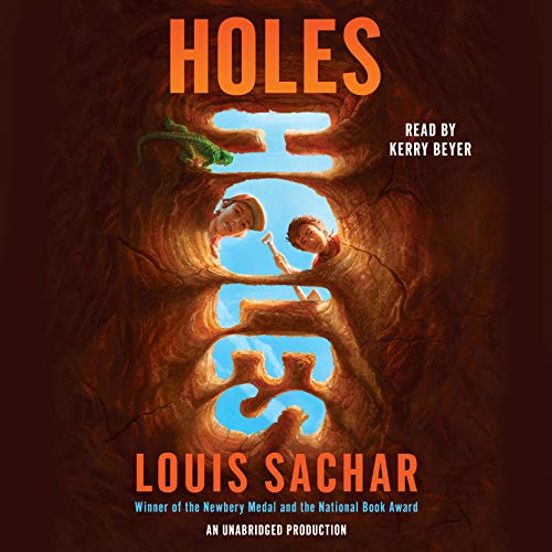 Book Cover Holes: 1 (Holes Series)