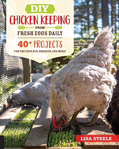 Book Cover DIY Chicken Keeping from Fresh Eggs Daily: 40+ Projects for the Coop, Run, Brooder, and More!