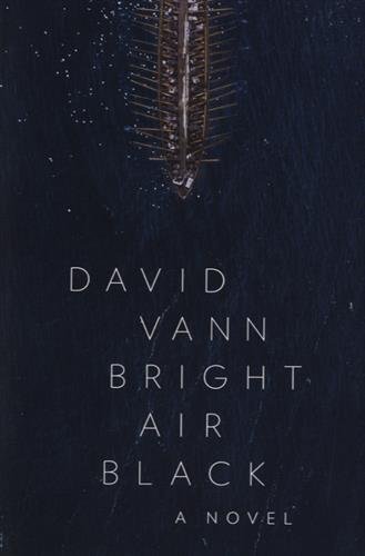Book Cover Bright Air Black: A Novel