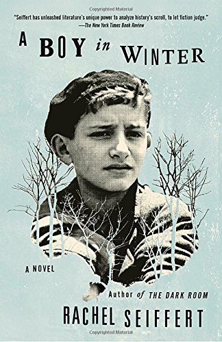 Book Cover A Boy in Winter: A Novel (Vintage International)
