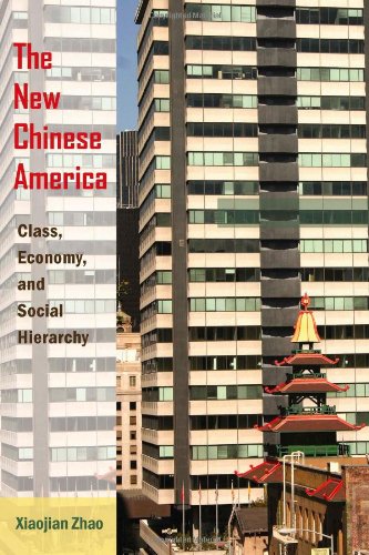 Book Cover The New Chinese America: Class, Economy, and Social Hierarchy
