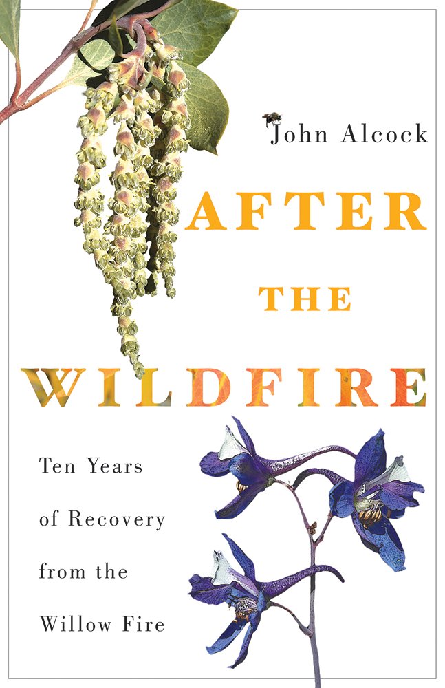 Book Cover After the Wildfire: Ten Years of Recovery from the Willow Fire