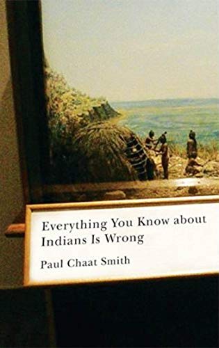 Book Cover Everything You Know about Indians Is Wrong (Indigenous Americas Series)