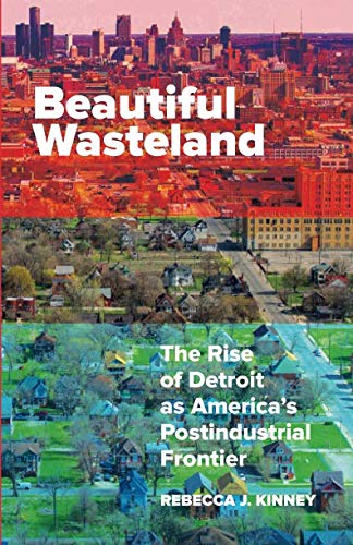 Book Cover Beautiful Wasteland