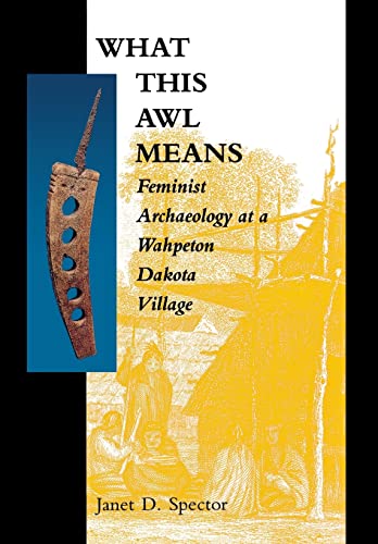 Book Cover What This Awl Means: Feminist Archaeology at a Wahpeton Dakota Village