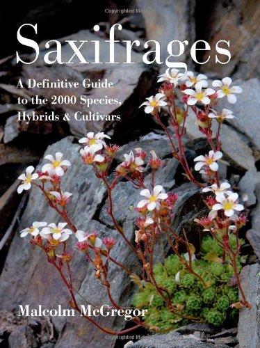 Book Cover Saxifrages: The Definitive Guide to 2000 Species, Hybrids & Cultivars