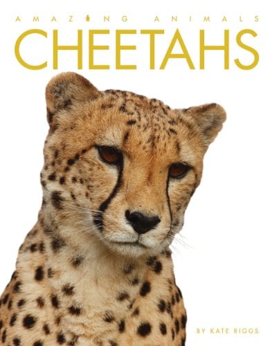 Book Cover Amazing Animals: Cheetahs