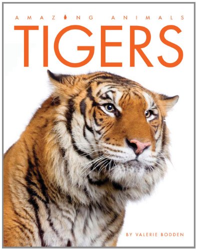 Book Cover Tigers (Amazing Animals (Creative Education Paperback))