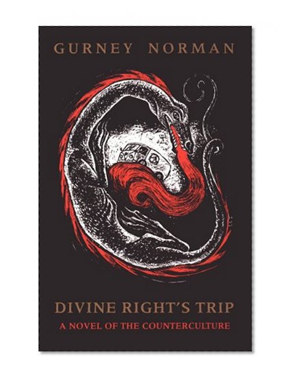 Book Cover Divine Right's Trip