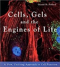 Book Cover Cells, Gels and the Engines of Life: A New, Unifying Approach to Cell Function