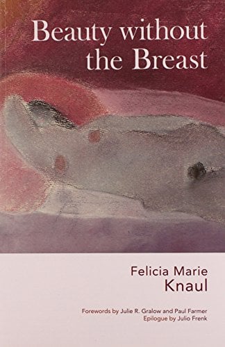Book Cover Beauty without the Breast (Women, Health, and Equity)