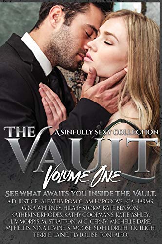 Book Cover The Vault: A Sinfully Sexy Collection