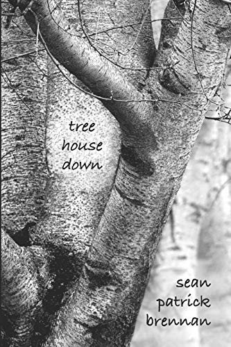 Book Cover tree house down