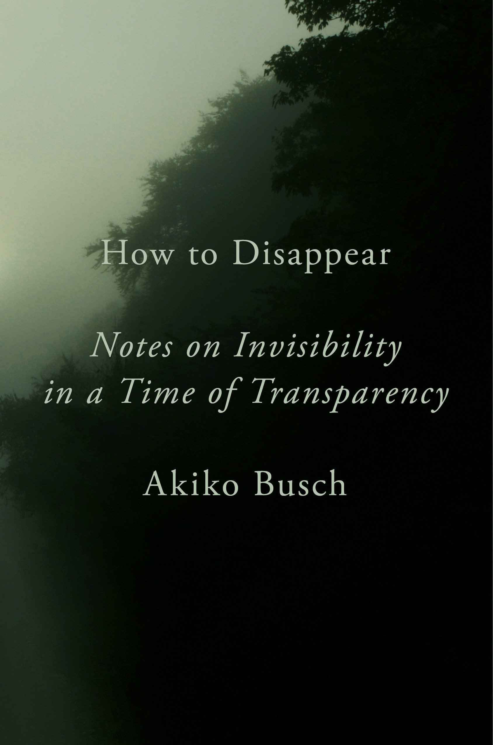 Book Cover How to Disappear: Notes on Invisibility in a Time of Transparency