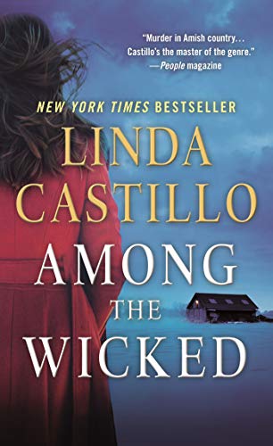 Book Cover Among the Wicked: A Kate Burkholder Novel