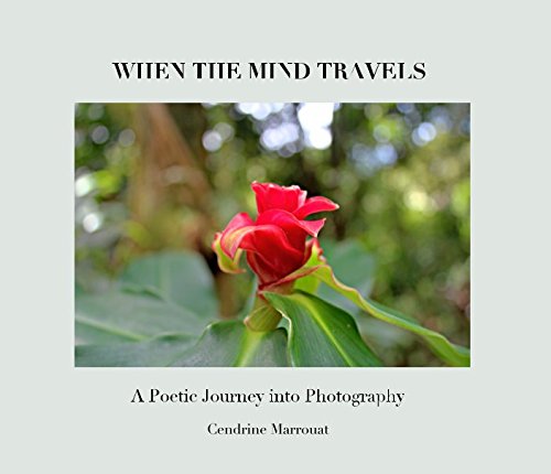 Book Cover When The Mind Travels